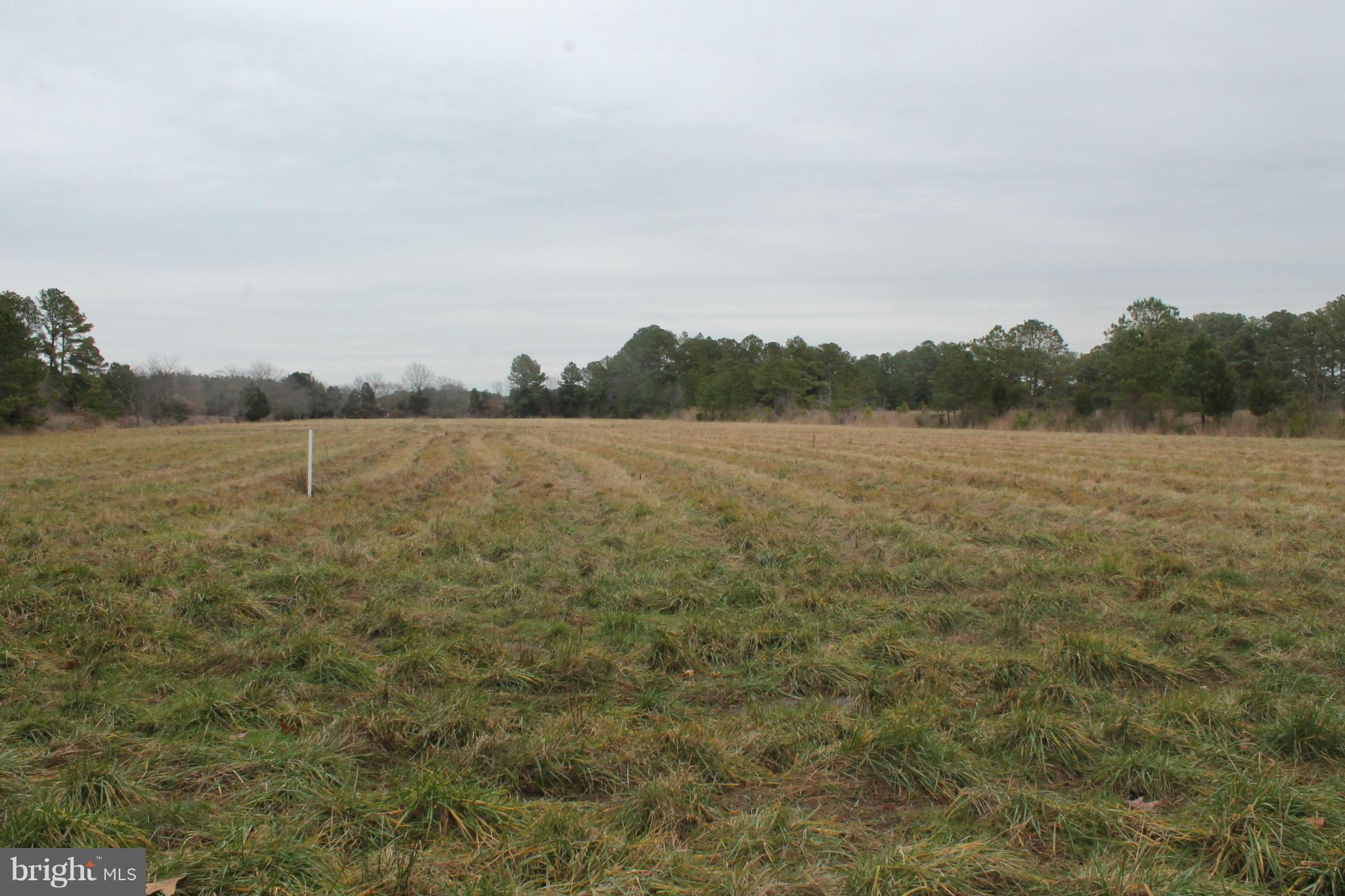 5715 Bar Neck Road Cambridge, MD 21613 - Photo 7 of 30 Acreage
