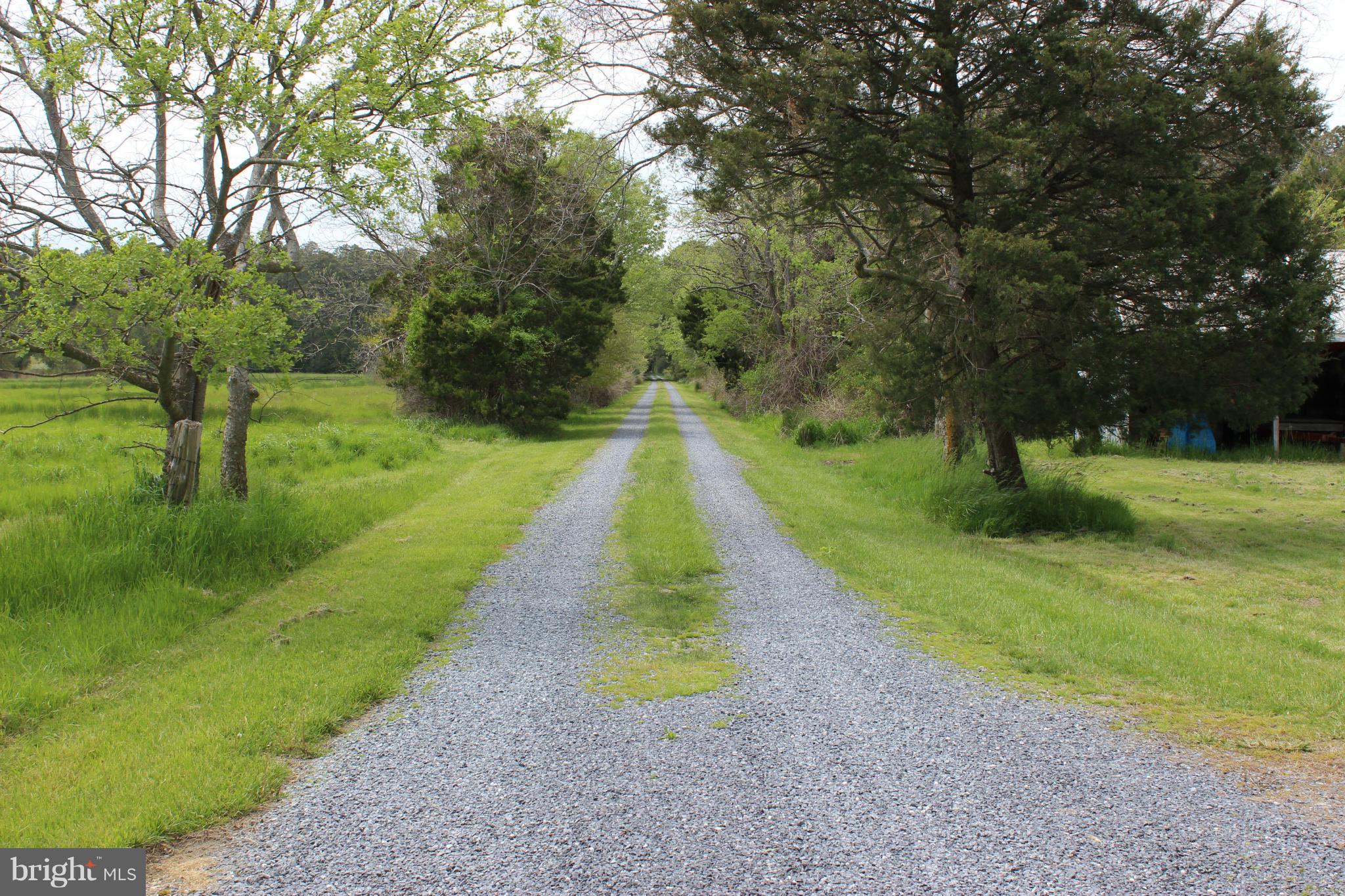 5715 Bar Neck Road Cambridge, MD 21613 - Photo 9 of 30 Long, Private Driveway