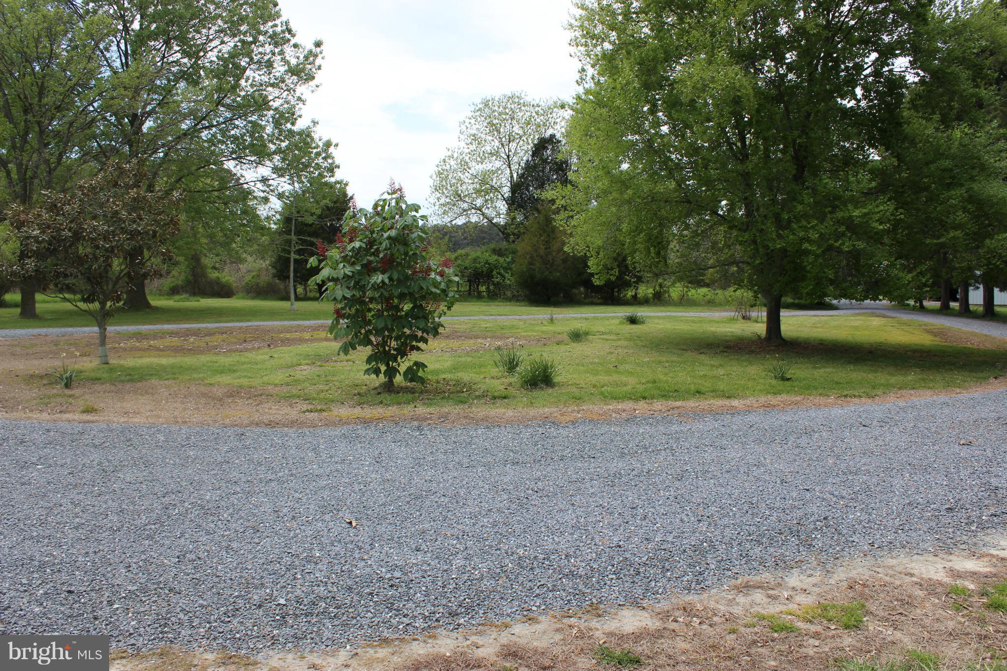 5715 Bar Neck Road Cambridge, MD 21613 - Photo 10 of 30 Circular Driveway