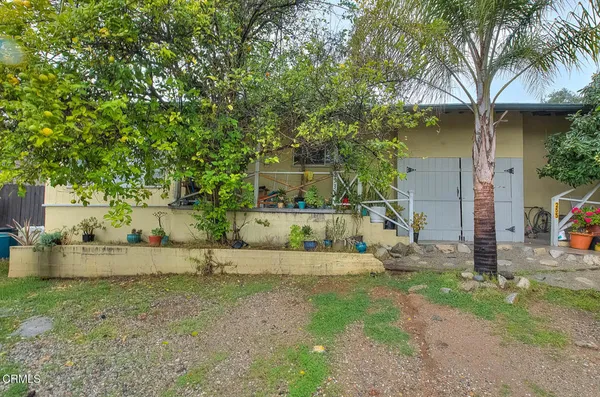 a view of a house with backyard and a tree