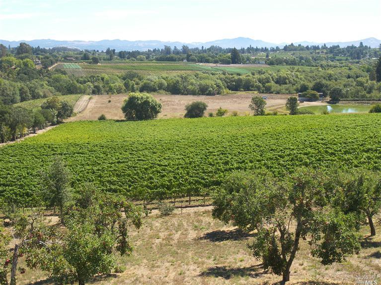 5100 Thomas Road Sebastopol, CA 95472 - Photo 1 of 1 a view of lake with green field and trees