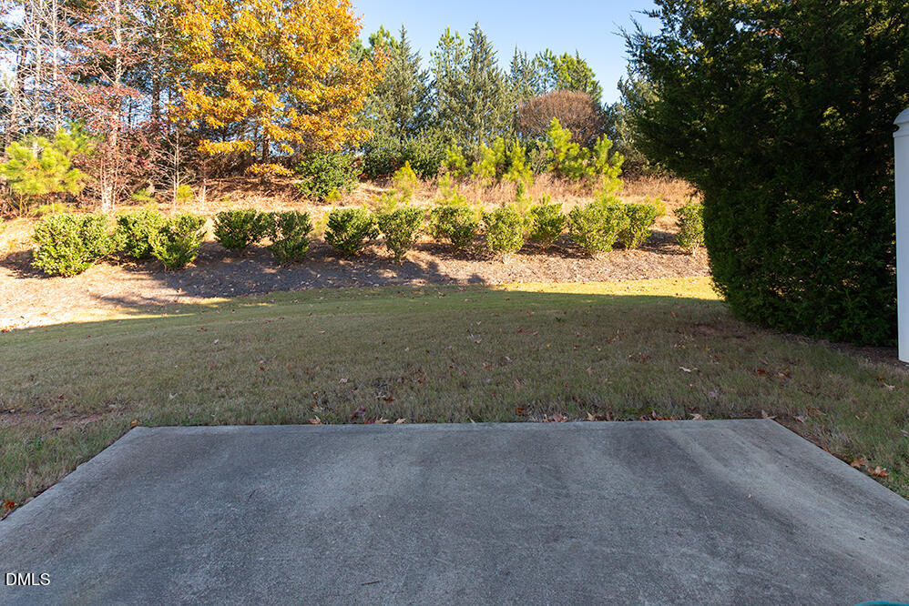 209 Mayfield Drive Apex, NC 27539 - Photo 39 of 48 IMG_9707