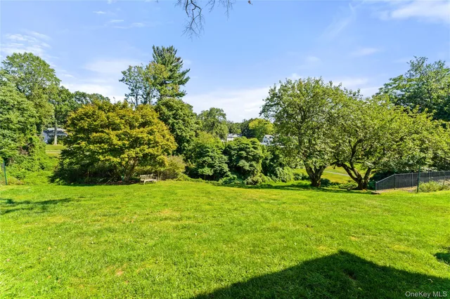 a view of a big yard with plants and large trees