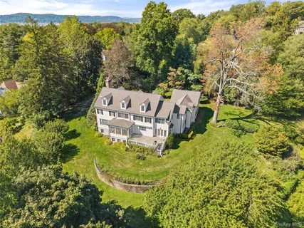 view of a garden with plants