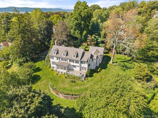 view of a garden with plants