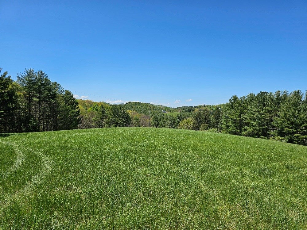 Tbd Windy Ridge Lane Galax, VA 24333 - Photo 4 of 18 Gallery Image 4