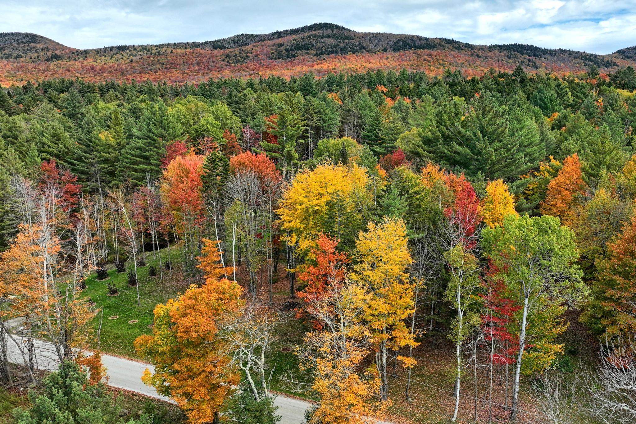 240 Town Line Road Rochester, VT 05767 - Photo 12 of 25