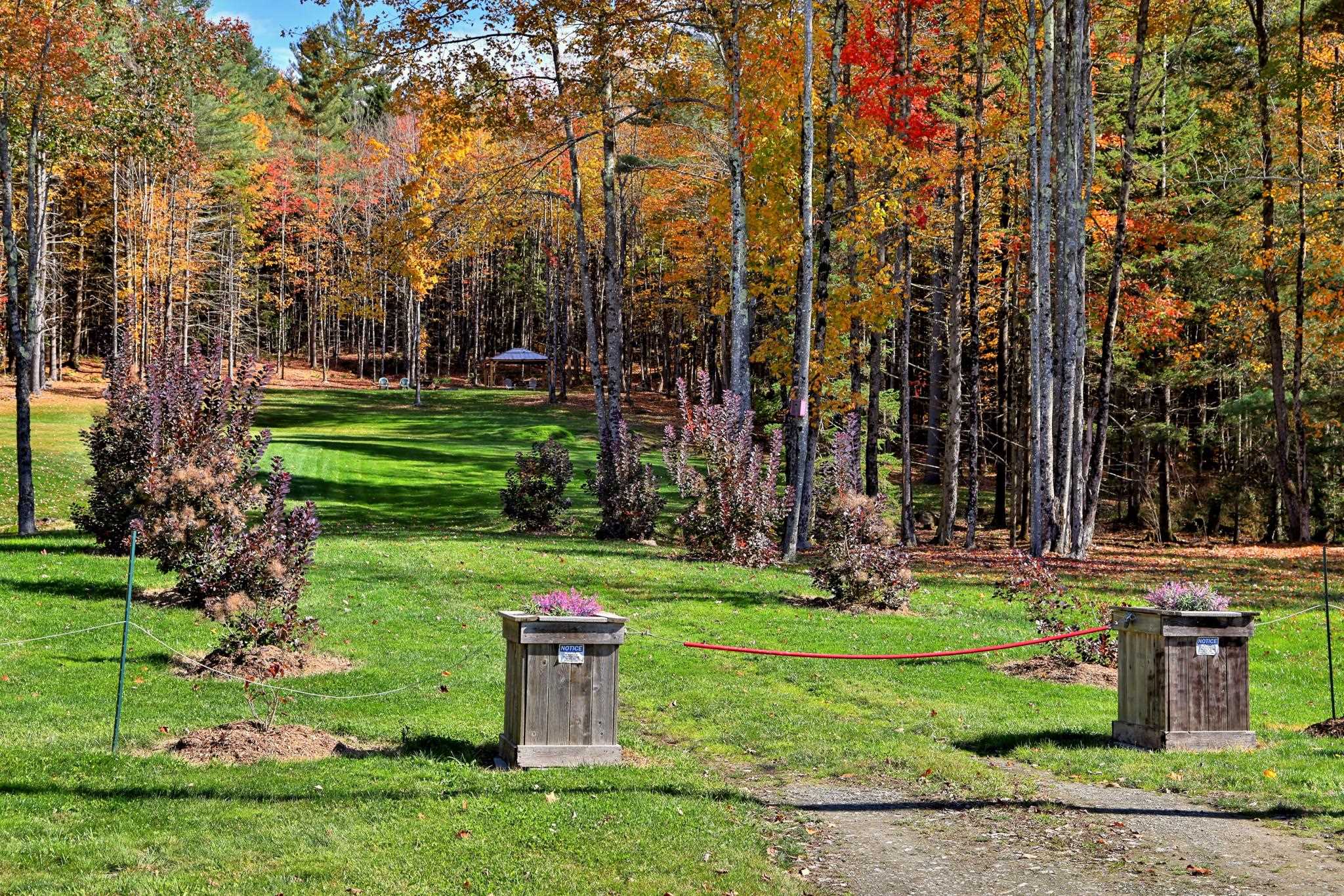 240 Town Line Road Rochester, VT 05767 - Photo 13 of 25