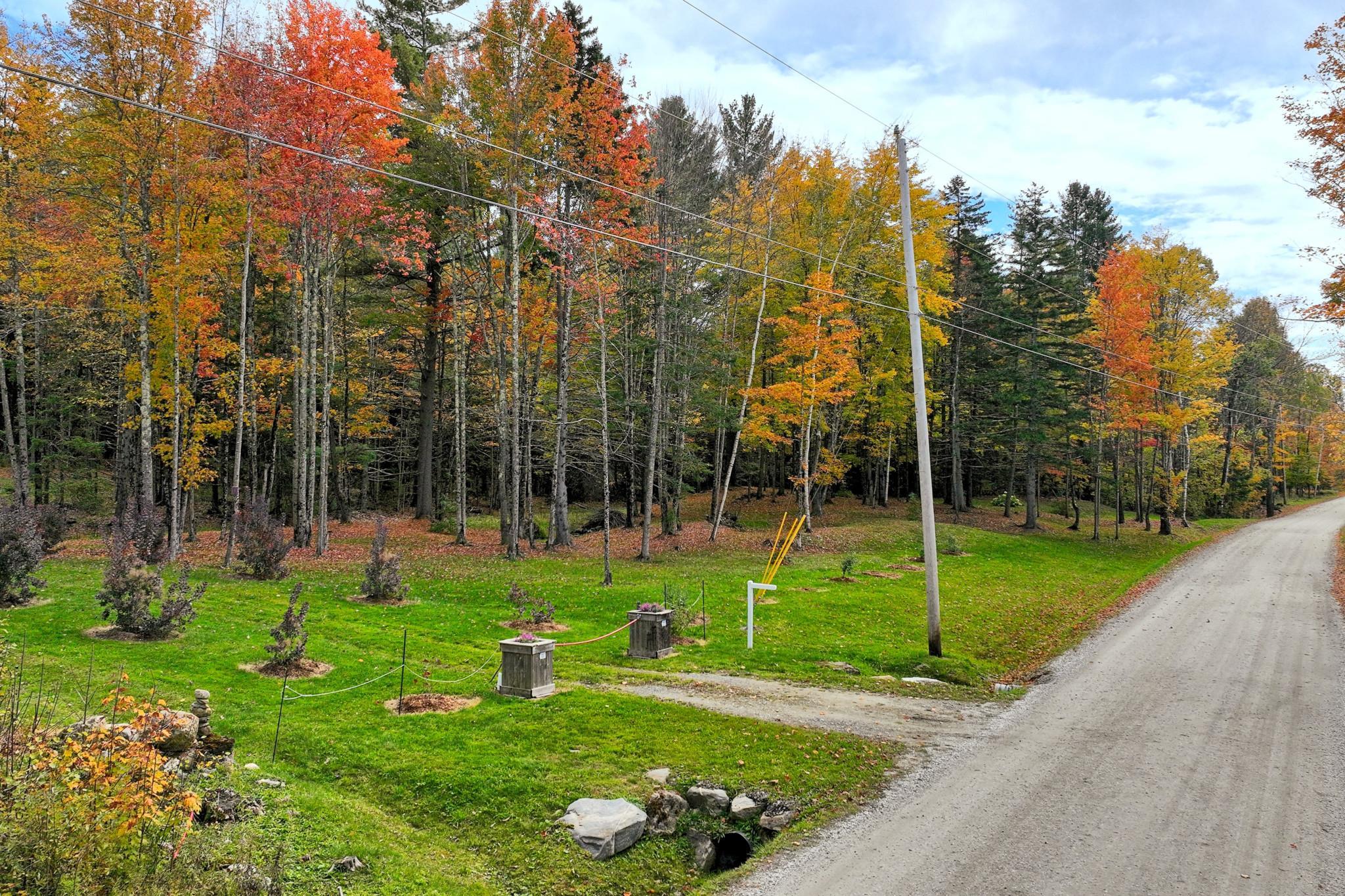 240 Town Line Road Rochester, VT 05767 - Photo 2 of 25