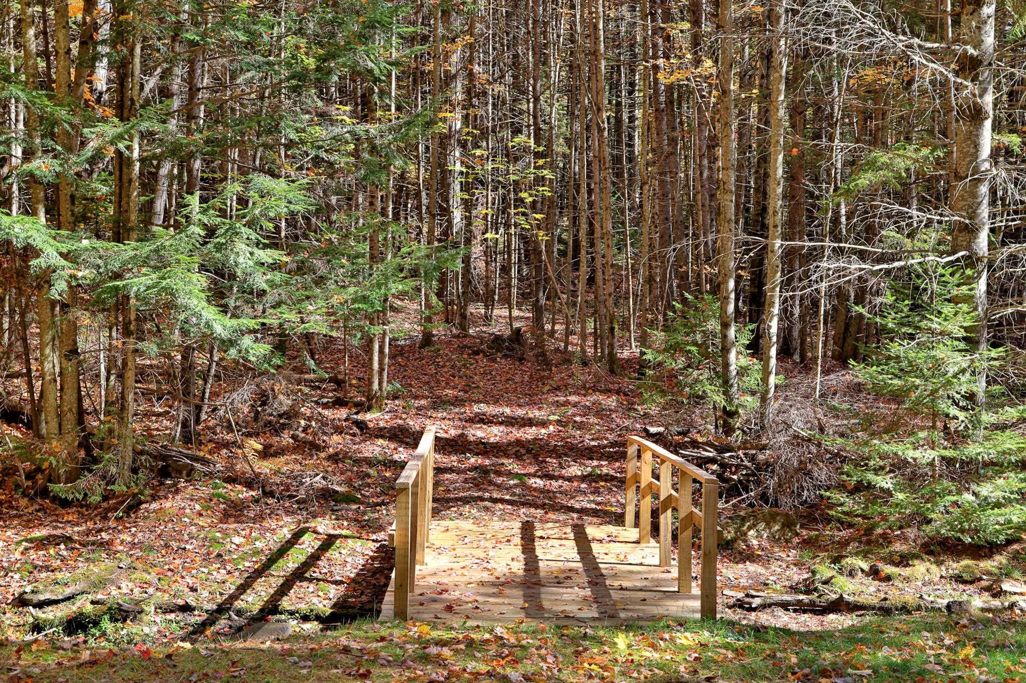 240 Town Line Road Rochester, VT 05767 - Photo 5 of 25