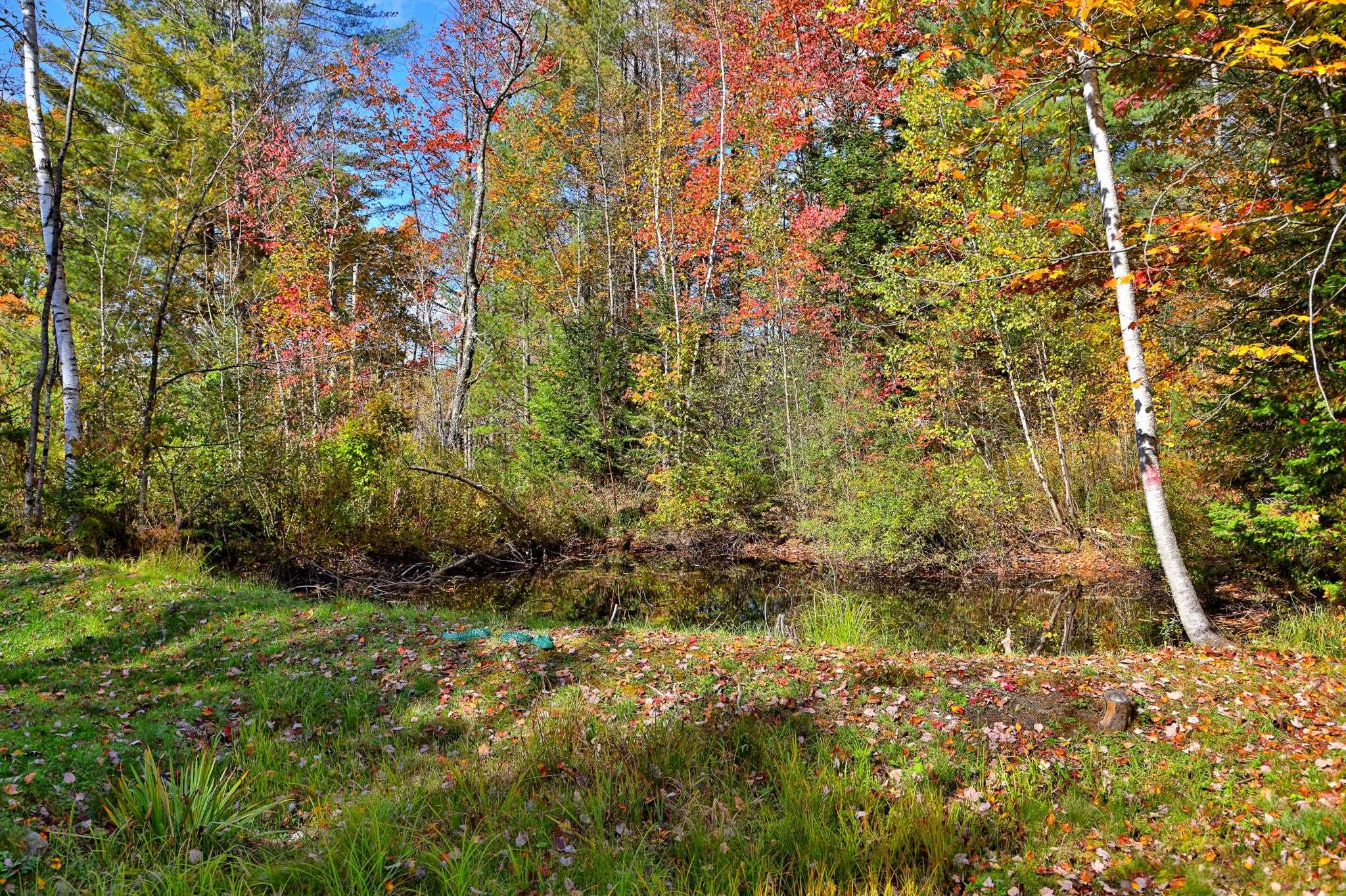 240 Town Line Road Rochester, VT 05767 - Photo 6 of 25