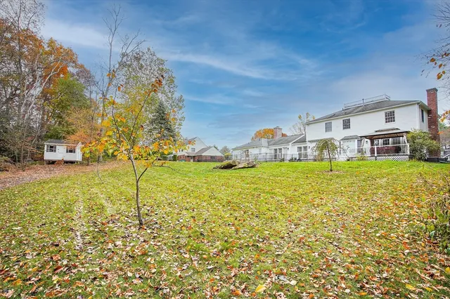 a view of a big yard with large trees