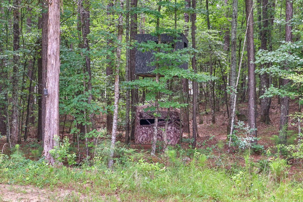 535 Pebblebrook Road Woodbury, GA 30293 - Photo 66 of 67 Gallery Image 66