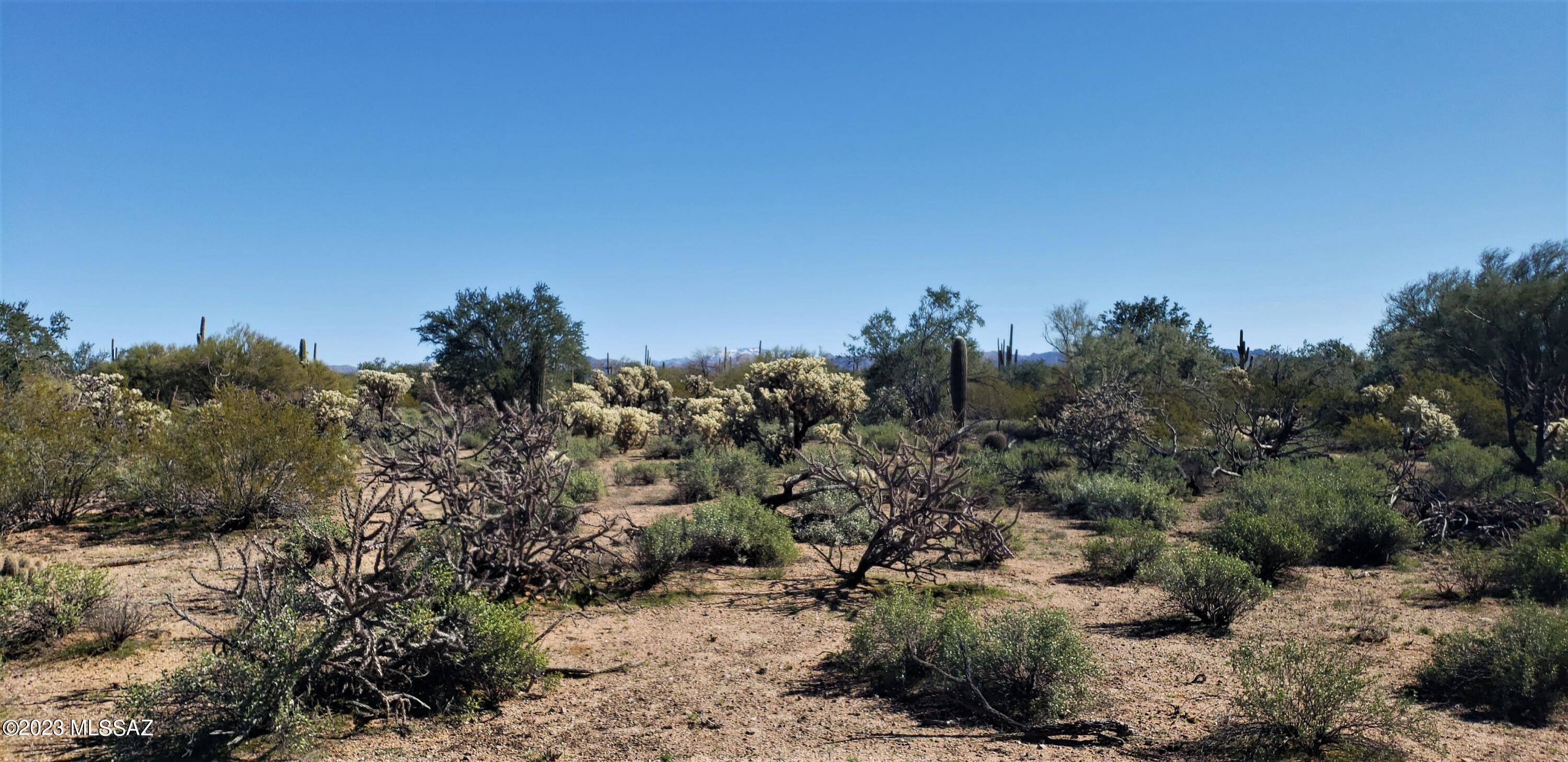 Tbd East Anaconda Road Marana, AZ 85658 - Photo 21 of 21 Gallery Image 21