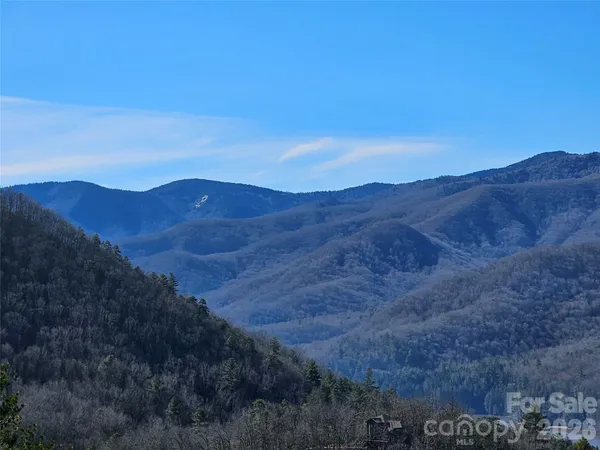 a view of a mountain