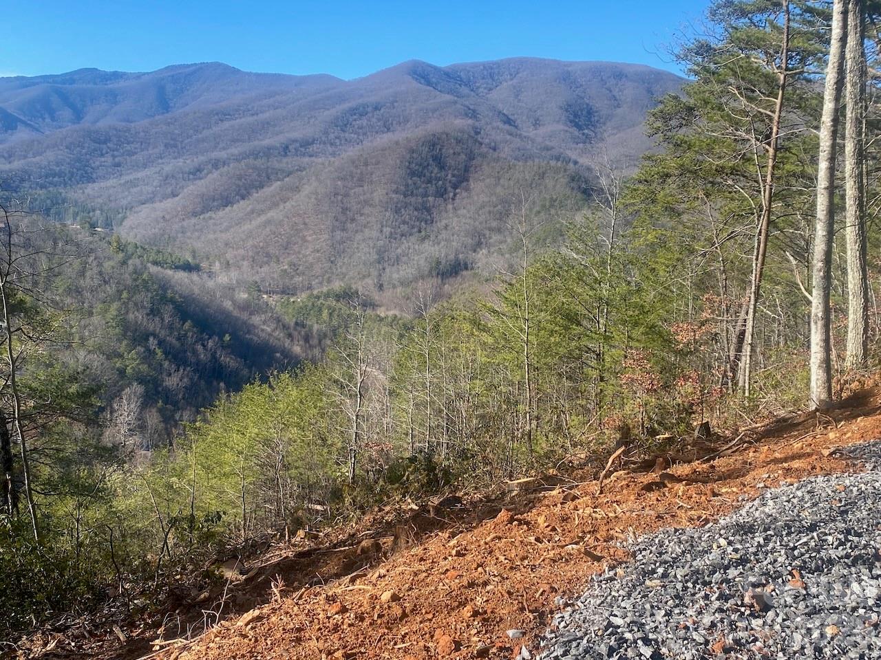 0 Blue Vista Road Canton, NC 28716 - Photo 12 of 24