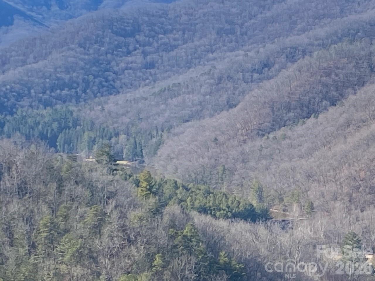 0 Blue Vista Road Canton, NC 28716 - Photo 18 of 24