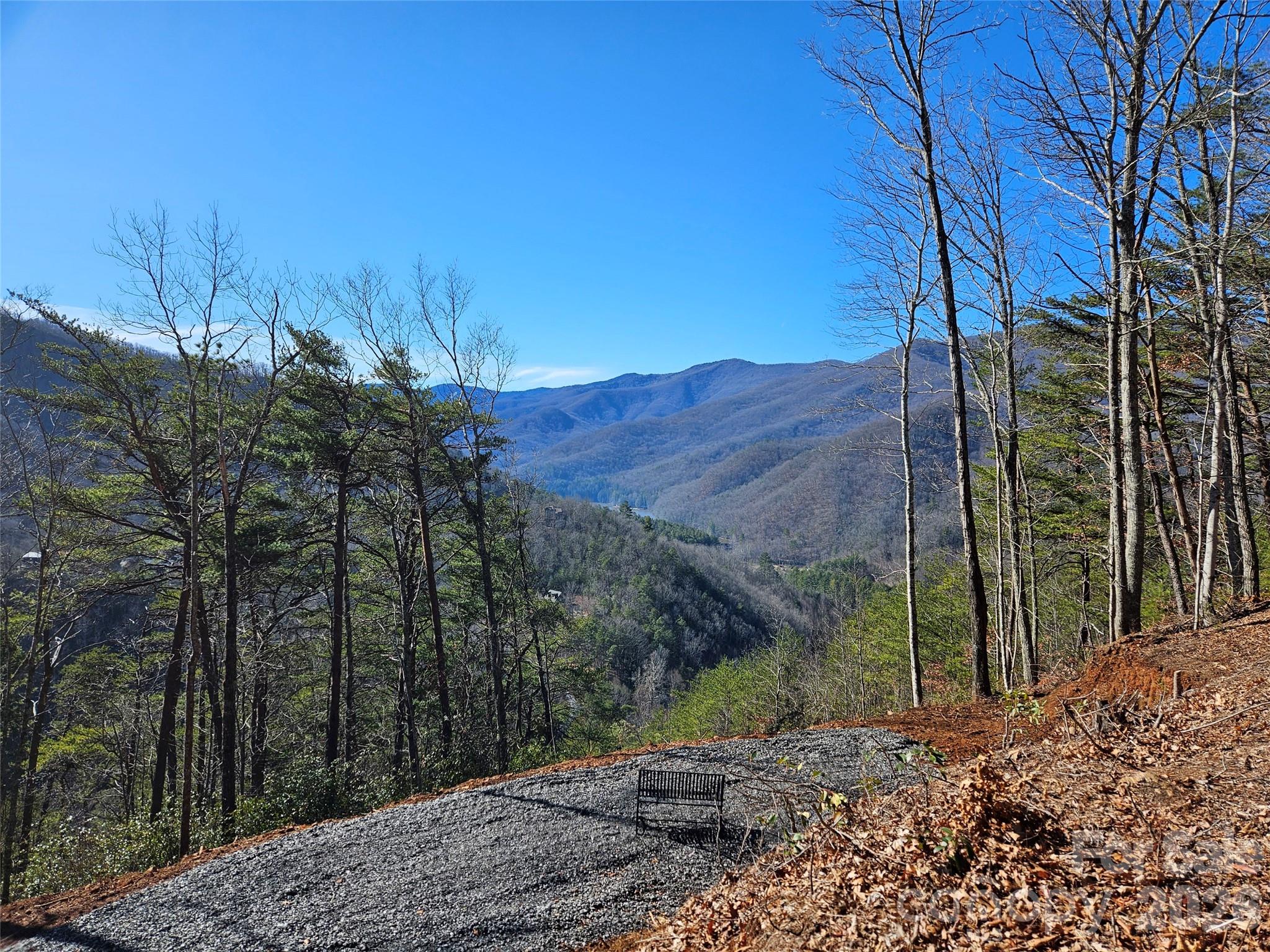 0 Blue Vista Road Canton, NC 28716 - Photo 21 of 24