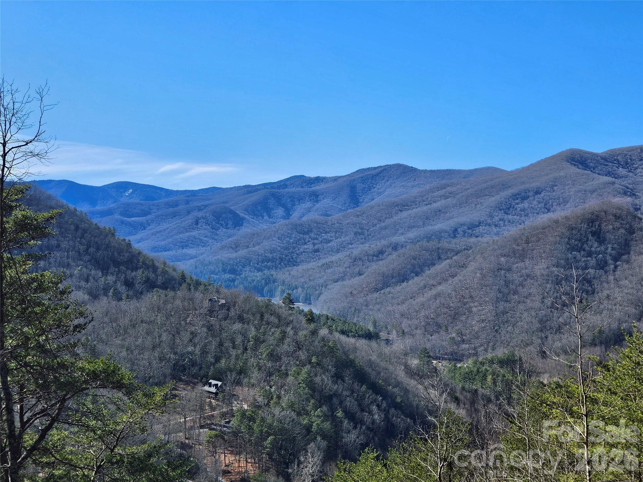 0 Blue Vista Road Canton, NC 28716 - Photo 22 of 24