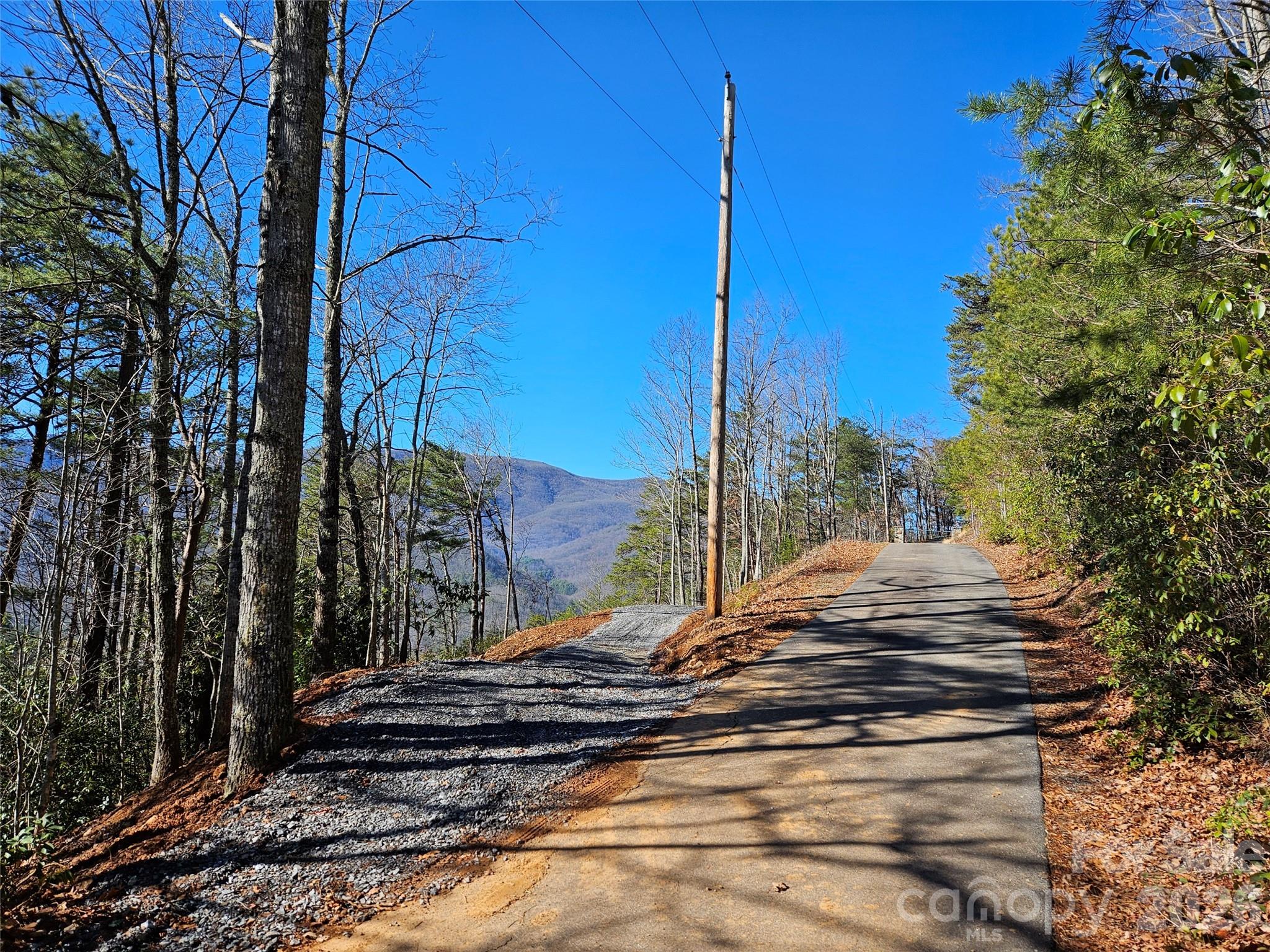 0 Blue Vista Road Canton, NC 28716 - Photo 5 of 24