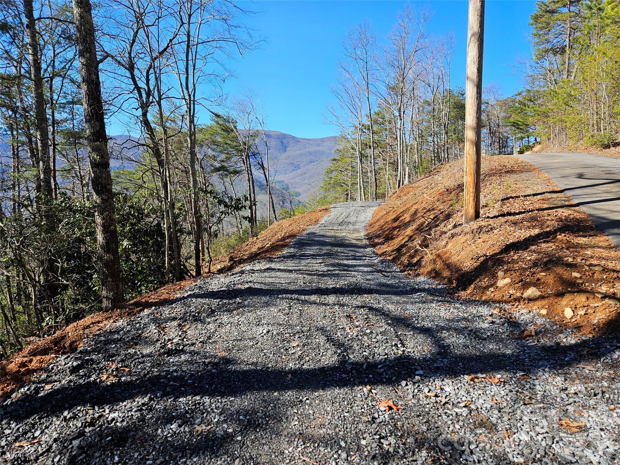 0 Blue Vista Road Canton, NC 28716 - Photo 6 of 24