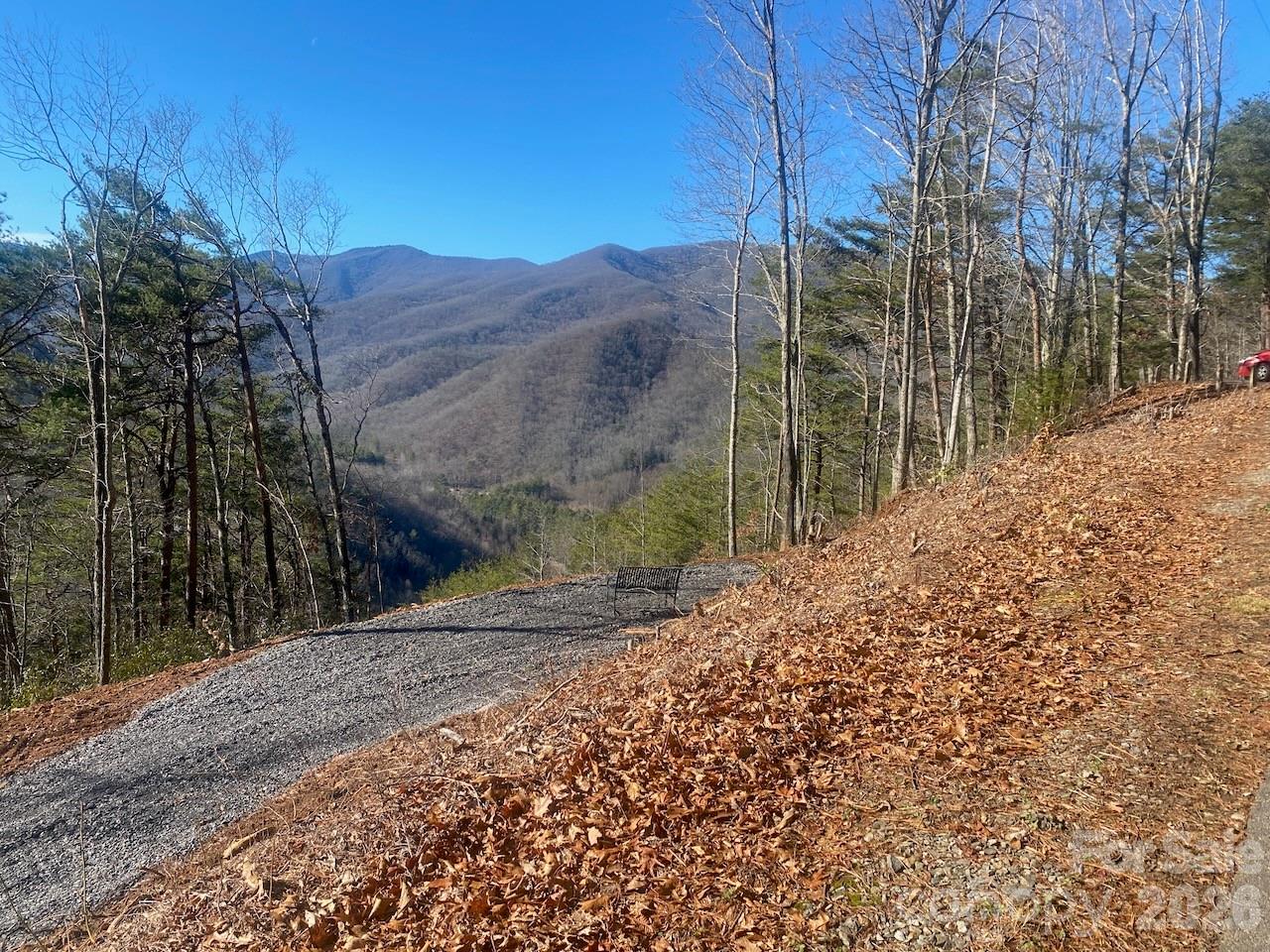 0 Blue Vista Road Canton, NC 28716 - Photo 7 of 24