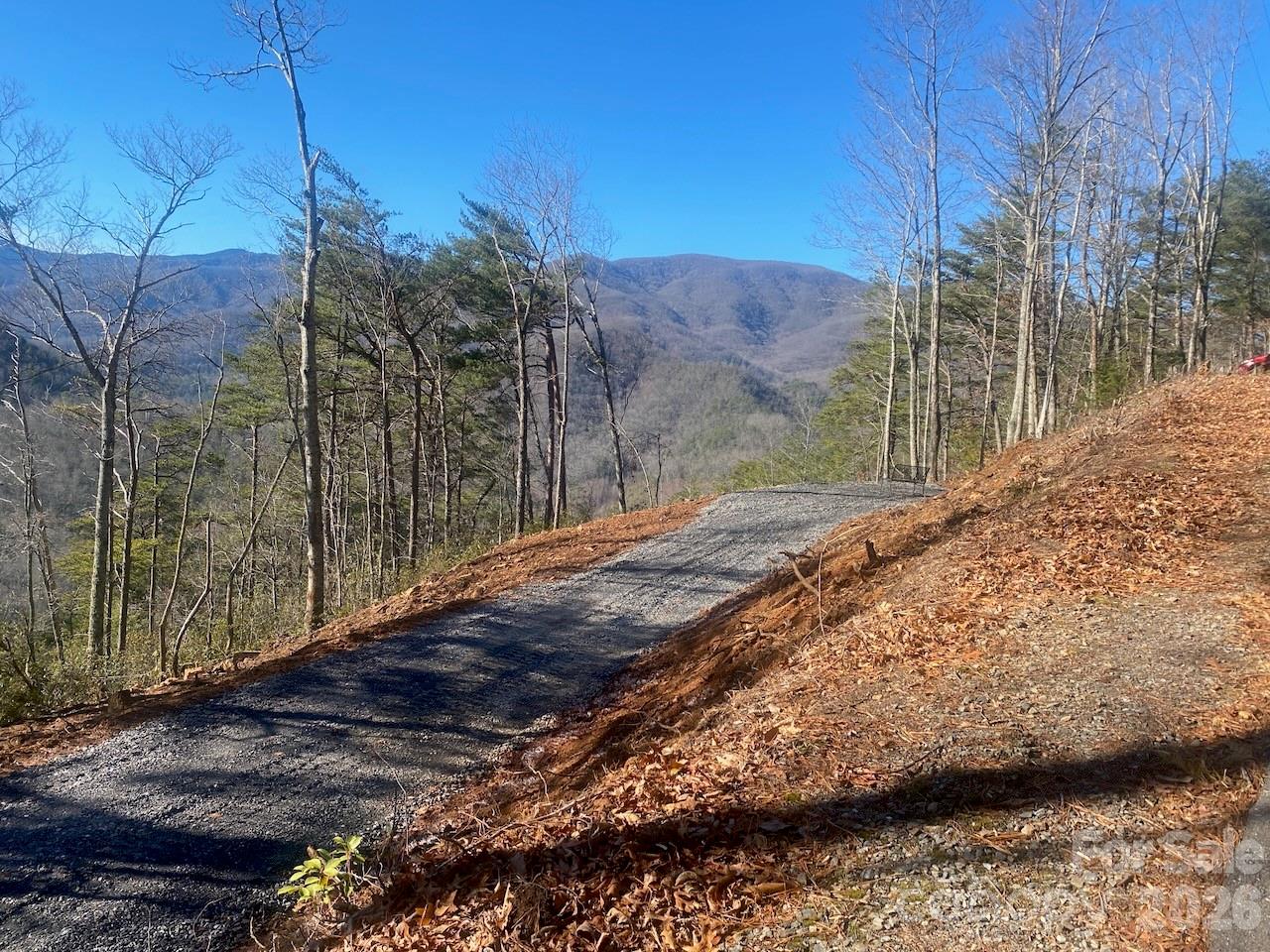 0 Blue Vista Road Canton, NC 28716 - Photo 8 of 24