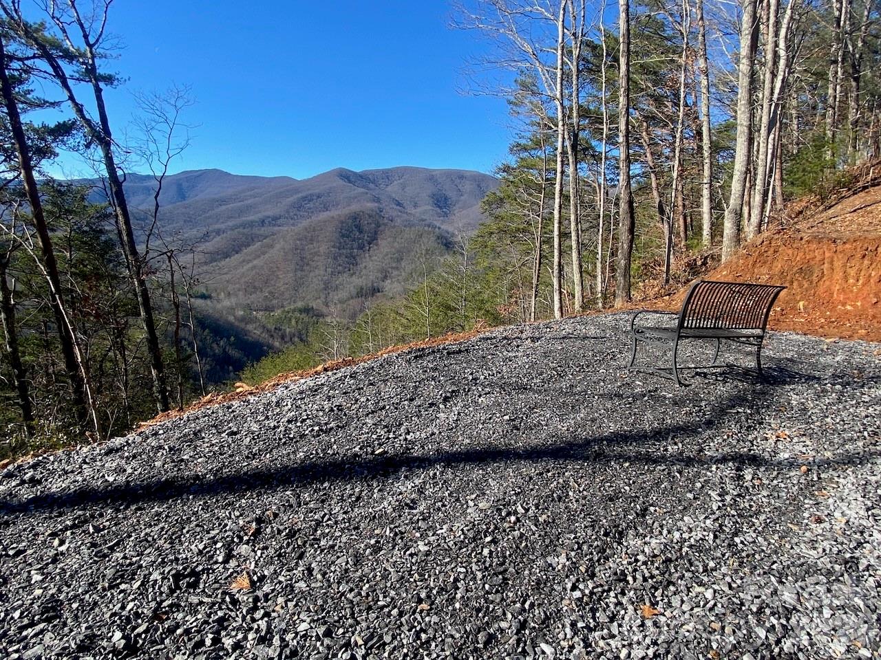 0 Blue Vista Road Canton, NC 28716 - Photo 10 of 24