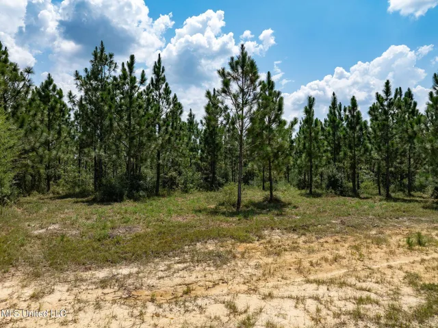 $180,000 | 10-acres Frontier Bend, Hattiesburg, MS 39402