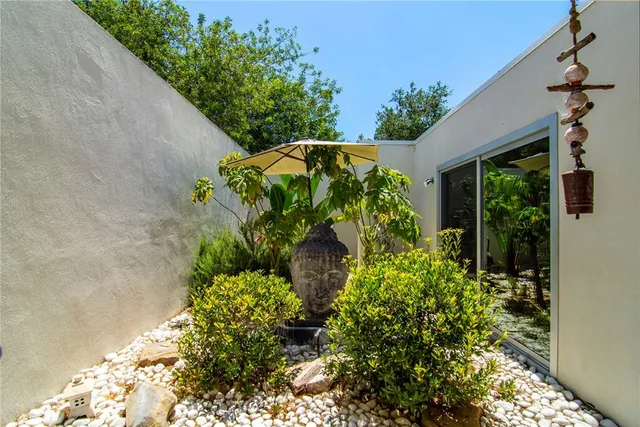 a close up of a flower in a garden