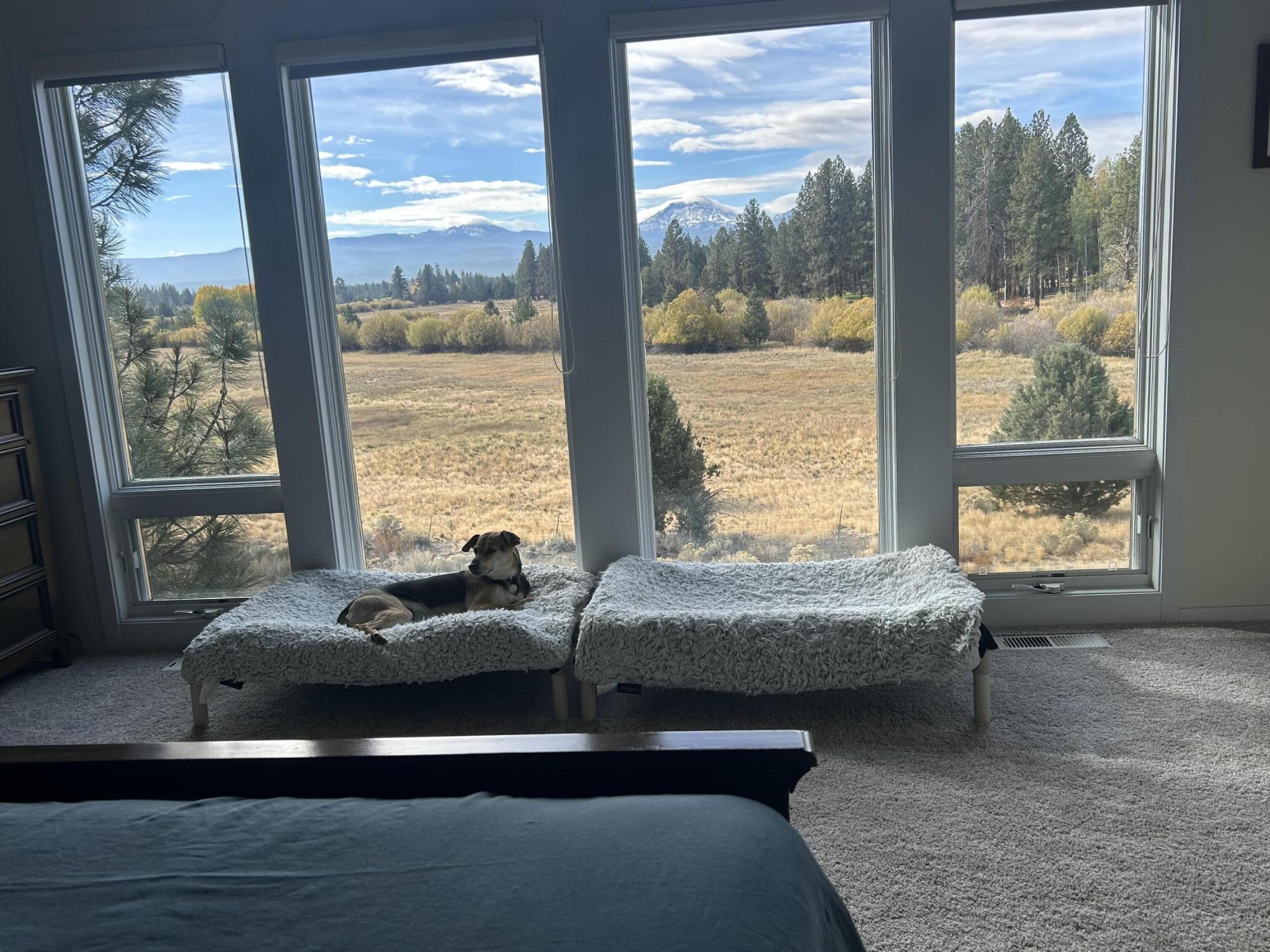 69877 Meadow View Road Sisters, OR 97759 - Photo 5 of 12 Privacy exemplified in the Master Suite.