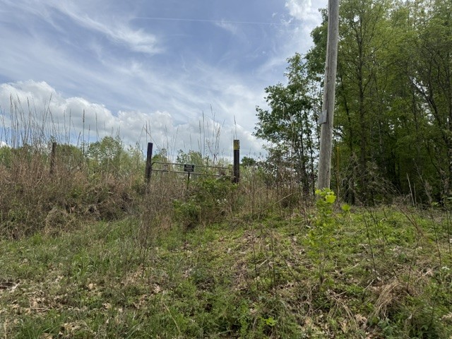 637 Hargis Road Bumpus Mills, TN 37028 - Photo 15 of 17