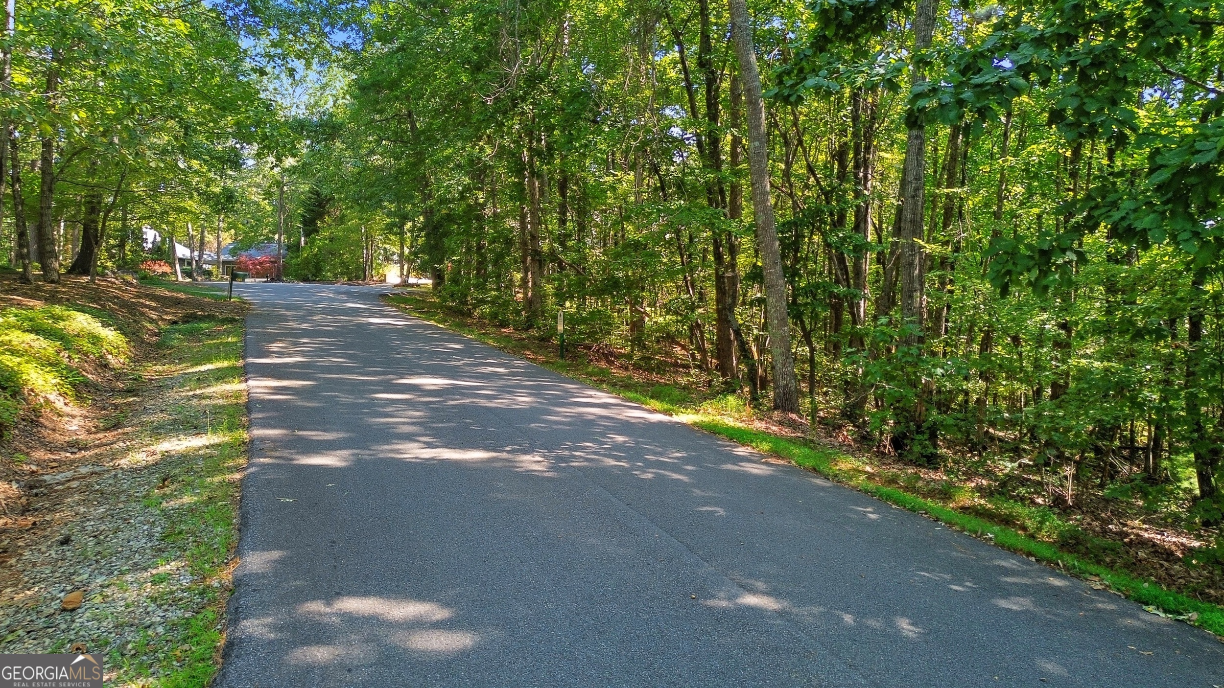 0 Rome Beauty Lane, Unit LOT 1109 Clarkesville, GA 30523 - Photo 12 of 12 a view of a street with a yard