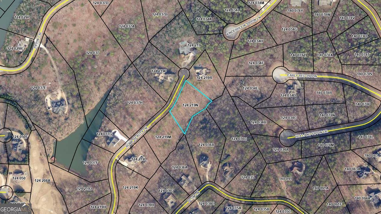 0 Rome Beauty Lane, Unit LOT 1109 Clarkesville, GA 30523 - Photo 3 of 12 with a backyard of a house