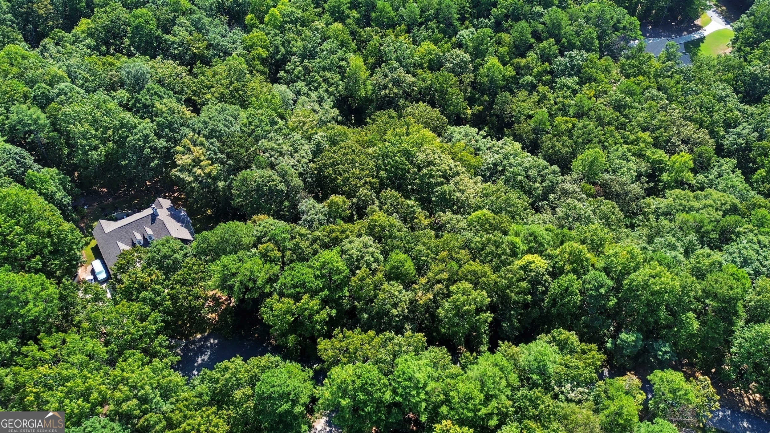 0 Rome Beauty Lane, Unit LOT 1109 Clarkesville, GA 30523 - Photo 5 of 12 an aerial view of a house with lots of trees