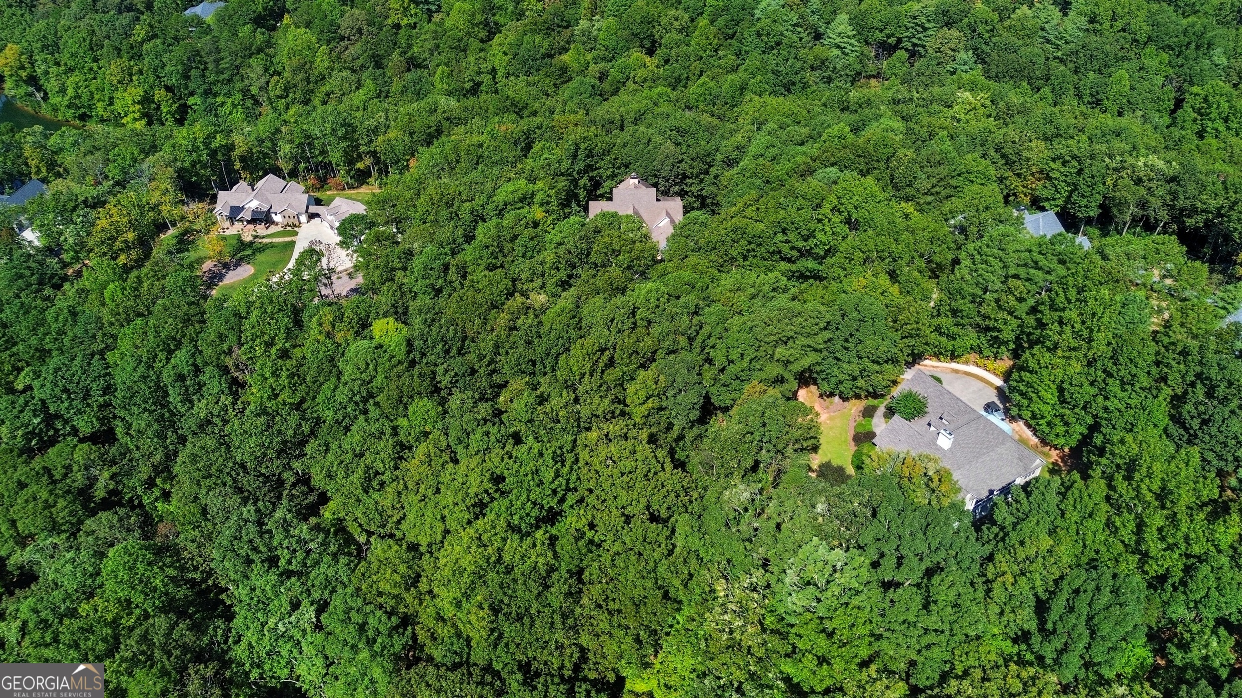 0 Rome Beauty Lane, Unit LOT 1109 Clarkesville, GA 30523 - Photo 7 of 12 a backyard of a house with lots of green space and trees in the back