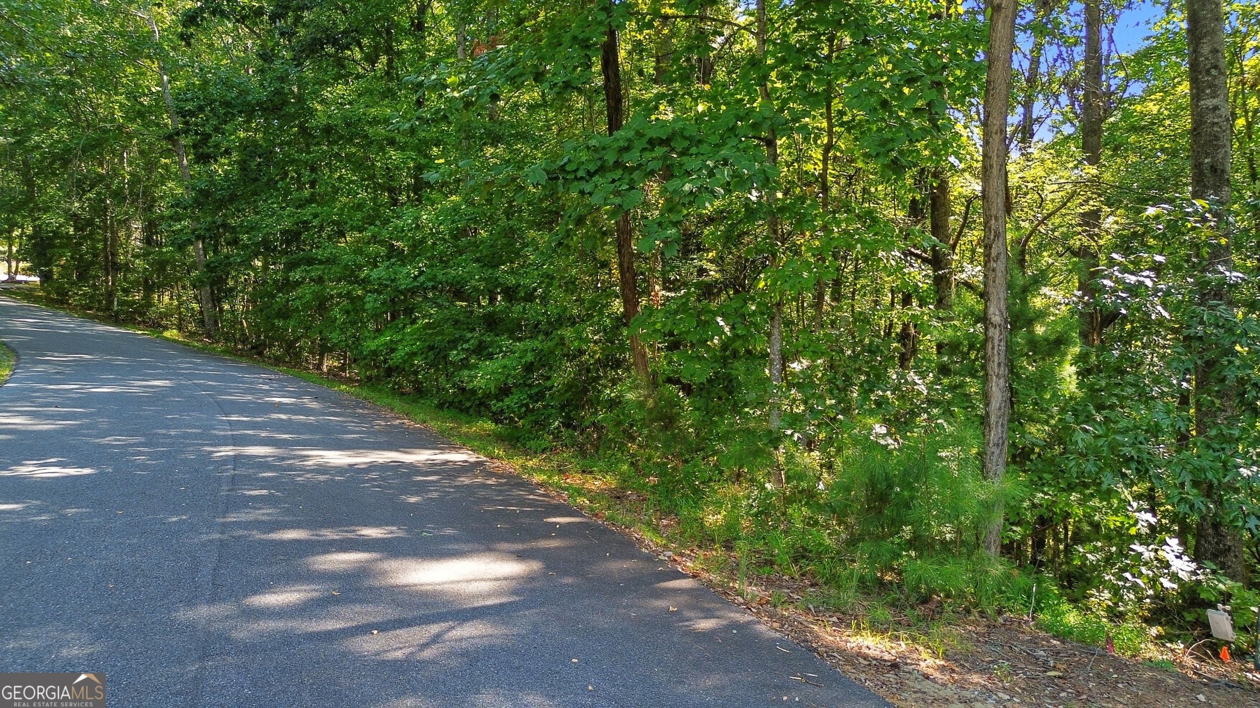0 Rome Beauty Lane, Unit LOT 1109 Clarkesville, GA 30523 - Photo 10 of 12 a view of a street with a tree