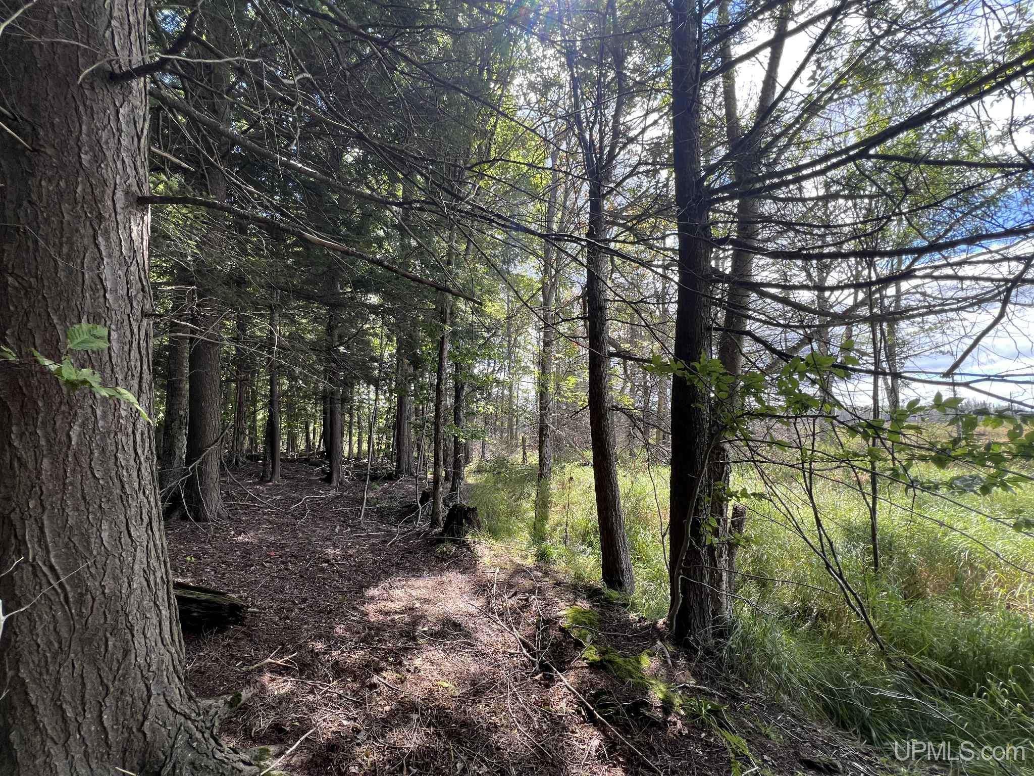 Lake Street Germfask, MI 49836 - Photo 23 of 36