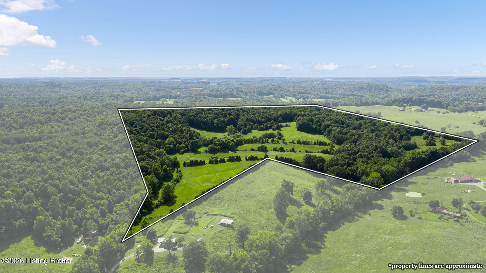 2551 Falls Of Rough Road Caneyville, KY 42721 - Photo 1 of 25 1-web-or-mls-DJI_20260619162523_0589_D c