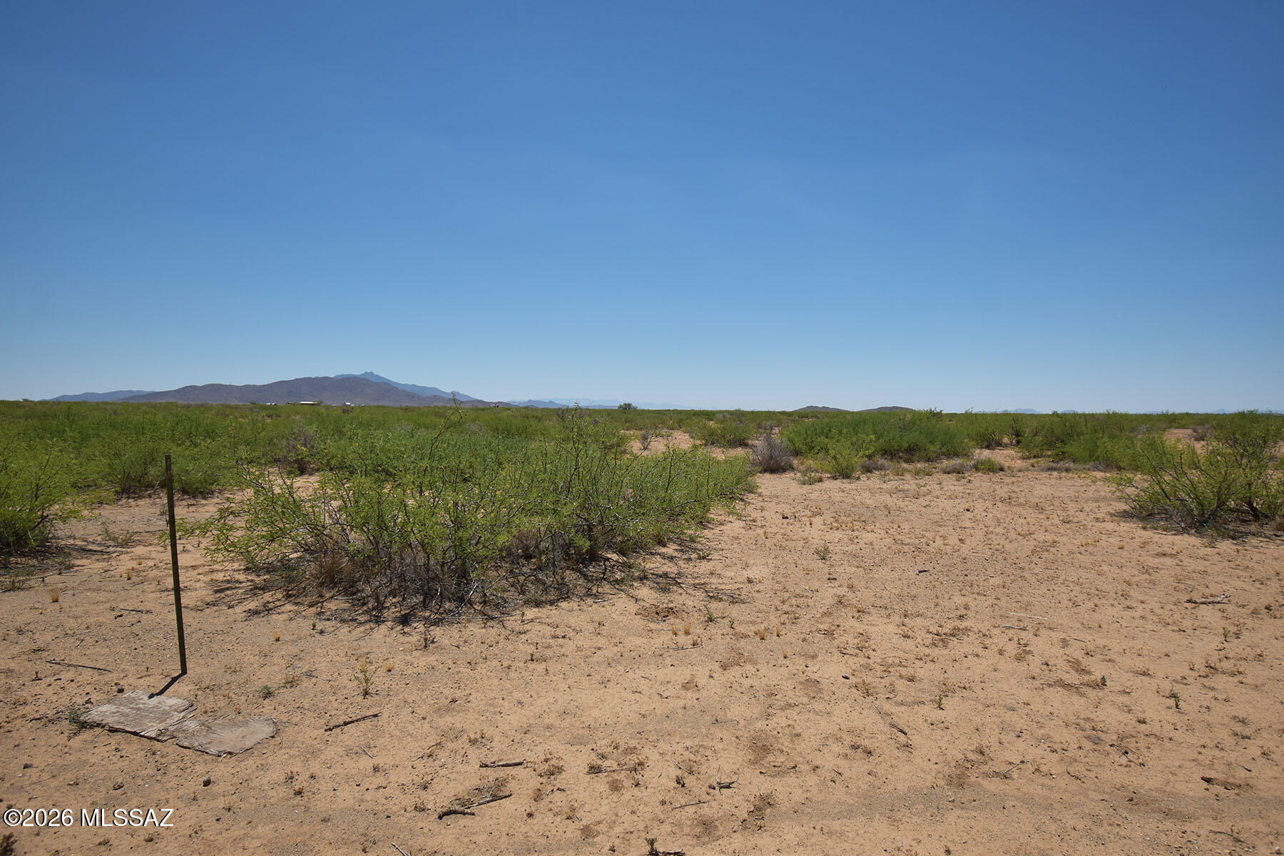 4-acres North Round Up Road, Unit 426 Willcox, AZ 85643 - Photo 8 of 19