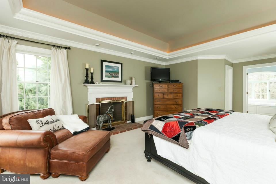 3611 Jackson Cabin Road Phoenix, MD 21131 - Photo 14 of 27 a bedroom with furniture and a fireplace