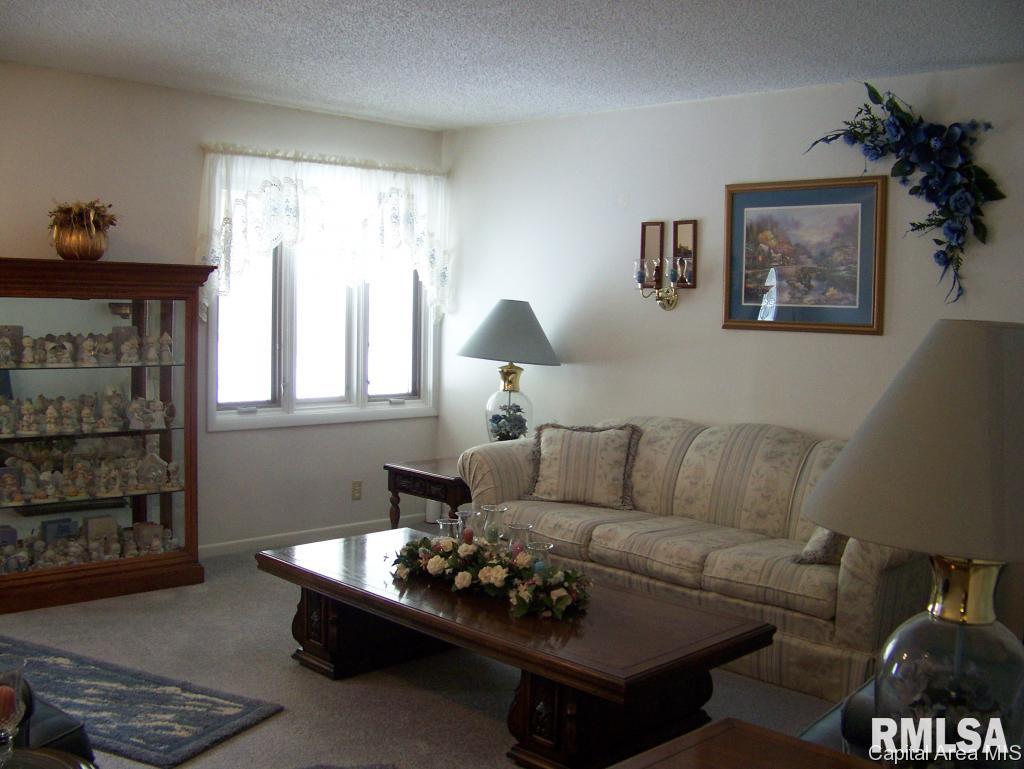 34 Ridgeview Drive Springfield, IL 62711 - Photo 3 of 36