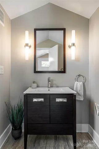 a bathroom with a sink a mirror and a potted plant