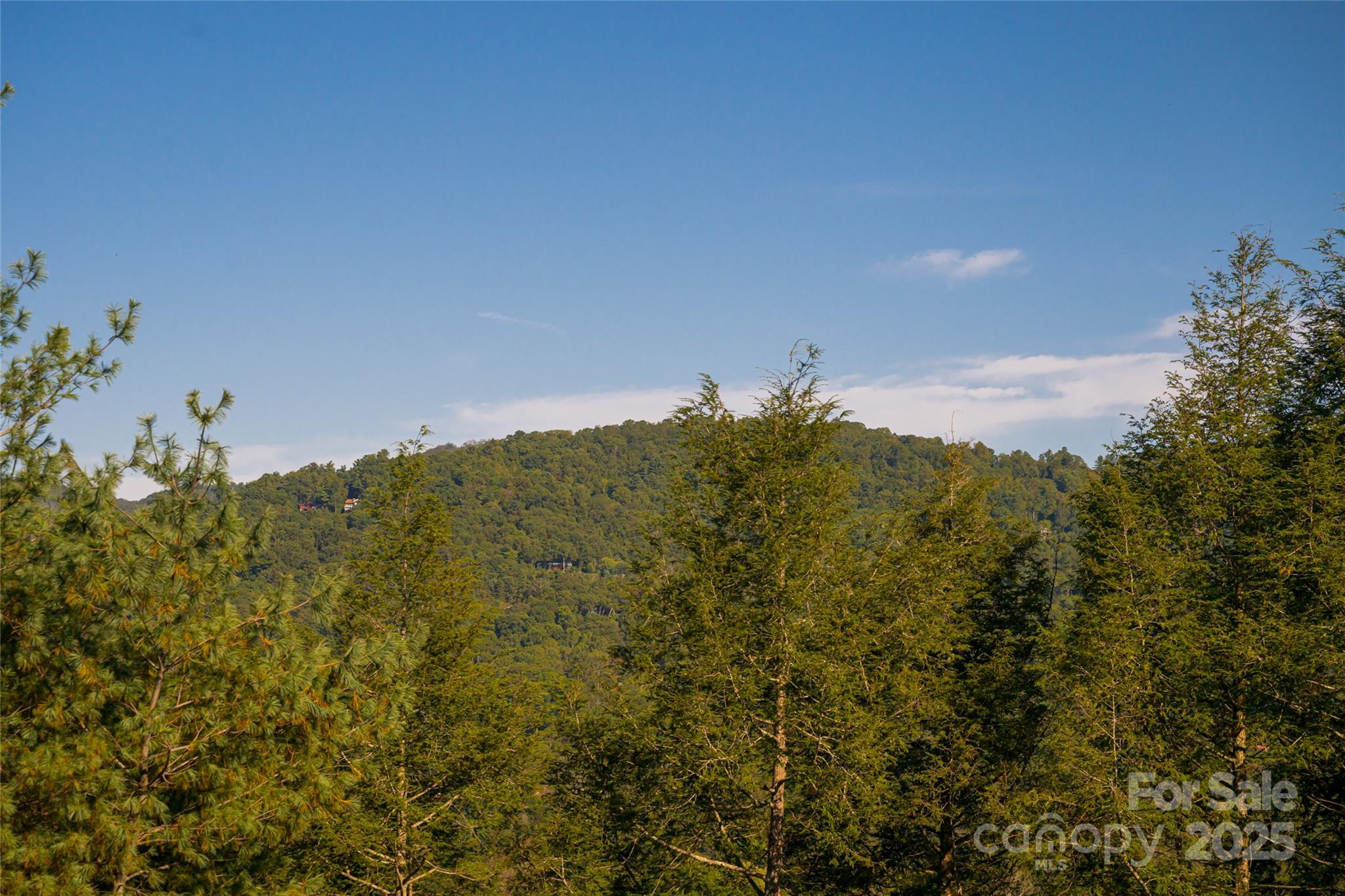 79 Horizon Hill Road Asheville, NC 28804 - Photo 38 of 48 a view of a large building with a mountain in the background