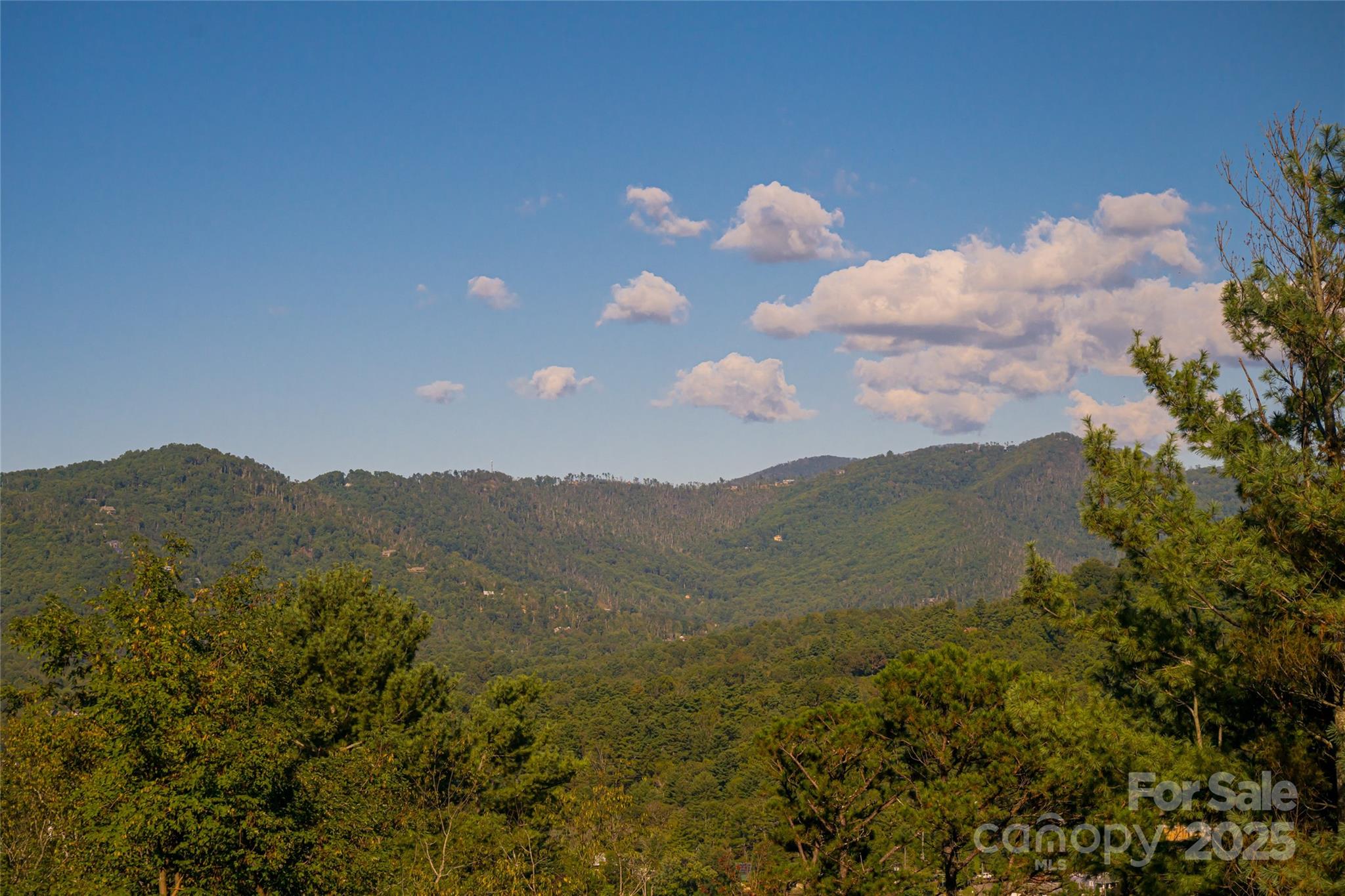 79 Horizon Hill Road Asheville, NC 28804 - Photo 4 of 48 a view of a mountain