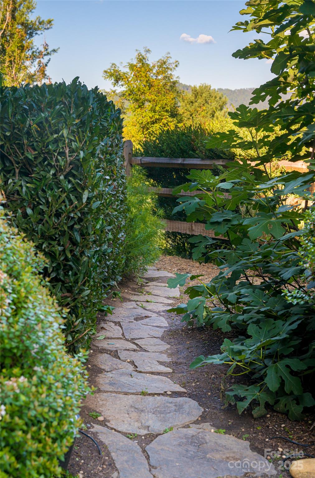 79 Horizon Hill Road Asheville, NC 28804 - Photo 48 of 48 a view of a pathway both side of yard