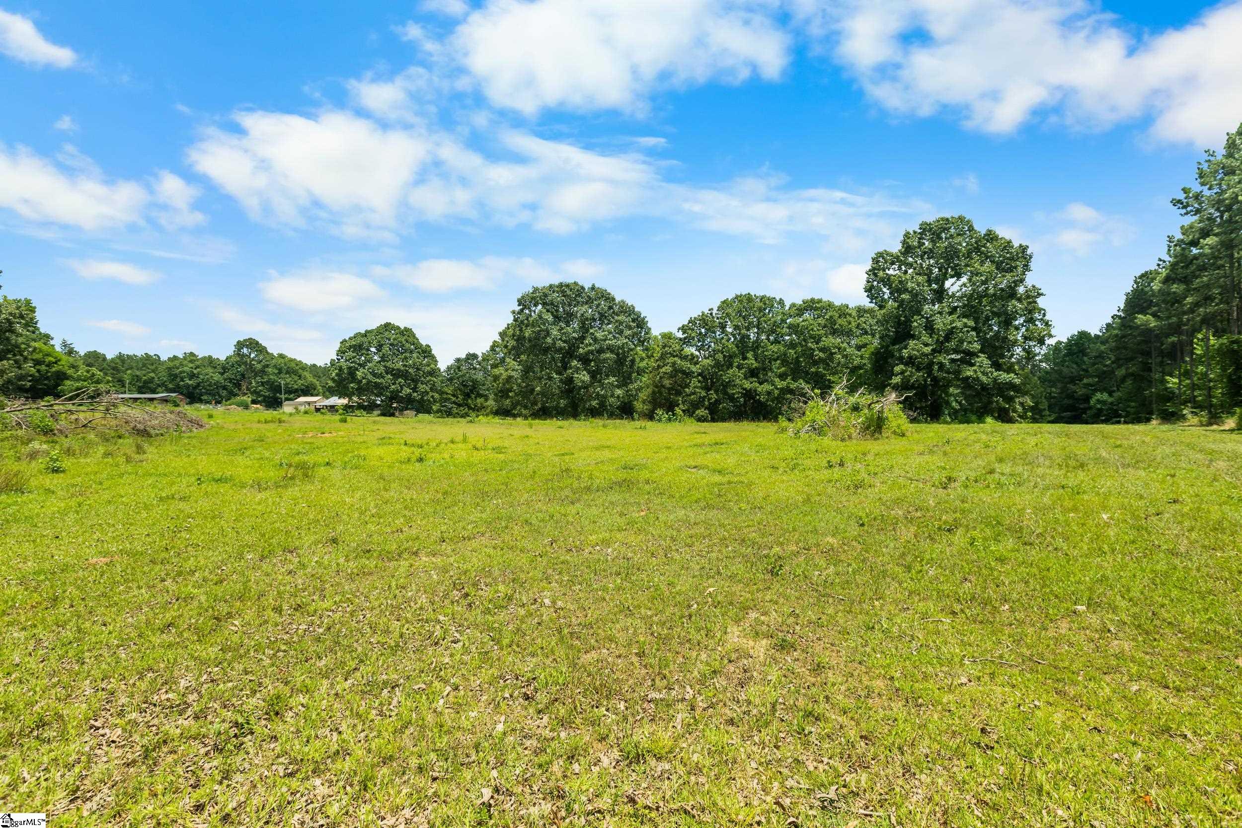 0 Poole Road Clinton, SC 29325 - Photo 10 of 14