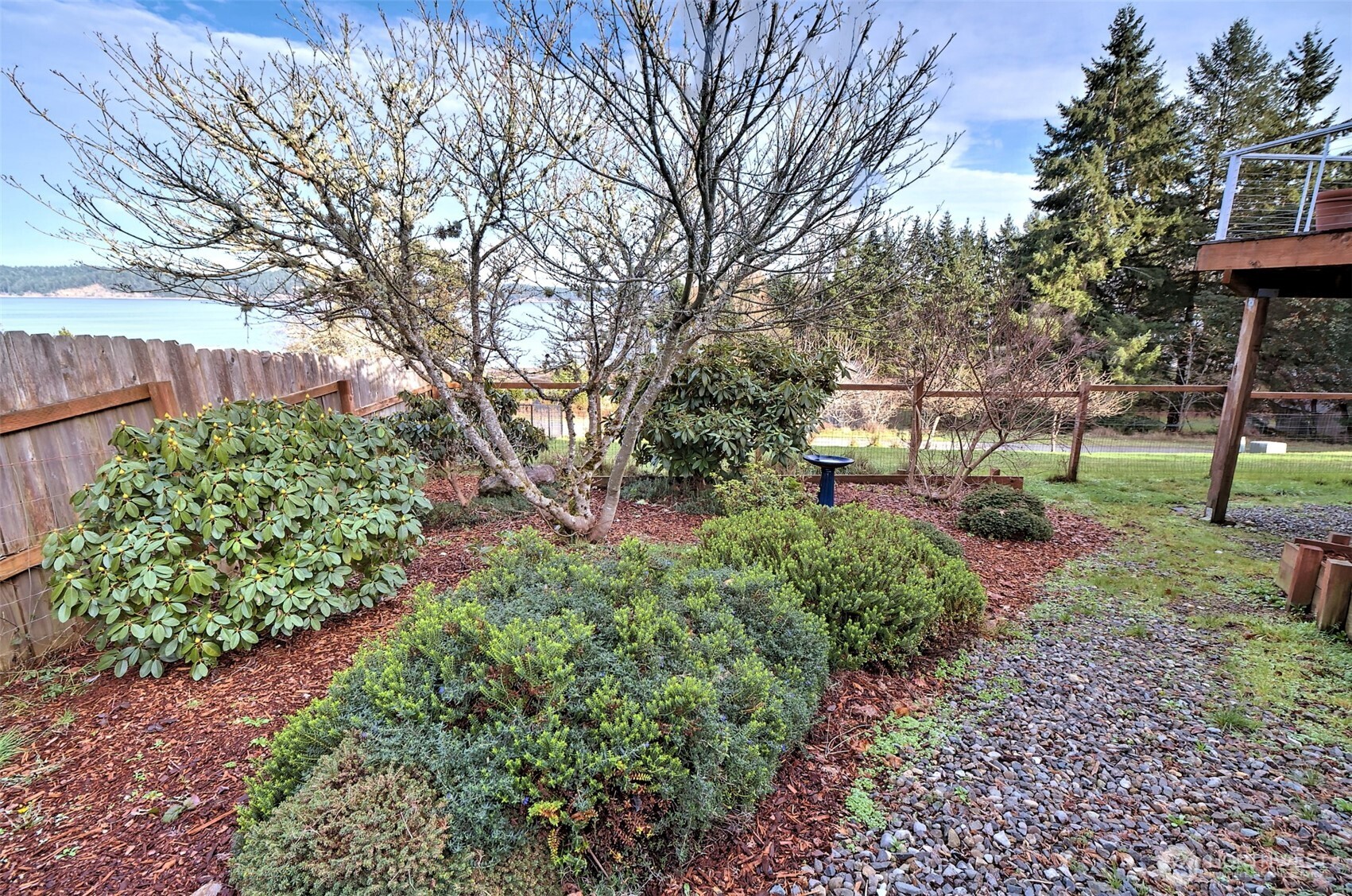 20 East Case View Place Shelton, WA 98584 - Photo 35 of 40 a view of a park with large trees