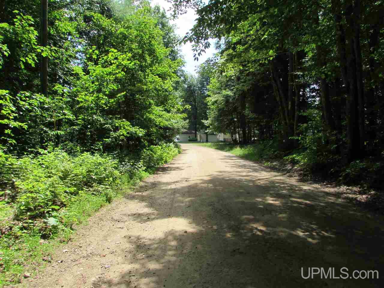 Tbd Tbd Peninsula Road Munising, MI 49862 - Photo 7 of 14
