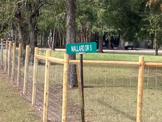 a view of a yard with an trees